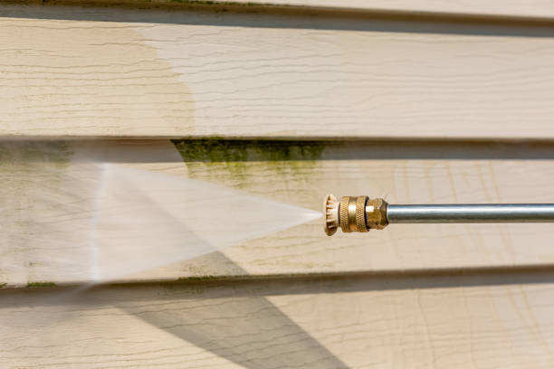Best Local Pressure Washing Services  in Turners Falls, MA